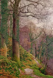 Un chemin dans les bois